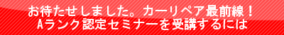 リンク文字8P